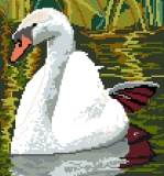 Swan