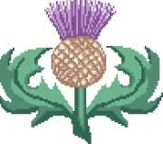 Scottish Thistle Cross Stitch Kit (No Frames)