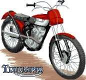 Triumph Tiger Cub