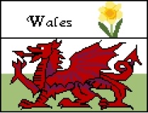 Wales Flag and Flower