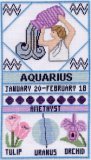 Aquarius Zodiac Sampler