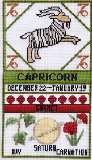 Capricorn Zodiac Sampler